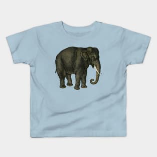 Majestic Asian Elephant with Tusks Kids T-Shirt